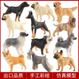 �羳��ͯ���湷�����Ą���ģ�ͽ�ë��Ȯ��ʿ�携�Զ�ţ���eȮ���