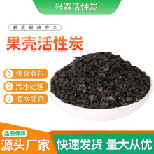 高碘值食品级果壳活性炭滤料 净水过滤材料循环水过滤罐用果壳炭