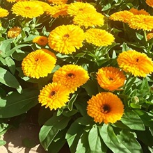 ��K�ջ��N���ӽ�K���N���ļ��׷N�����L���ջ����׷N�����ͺ�