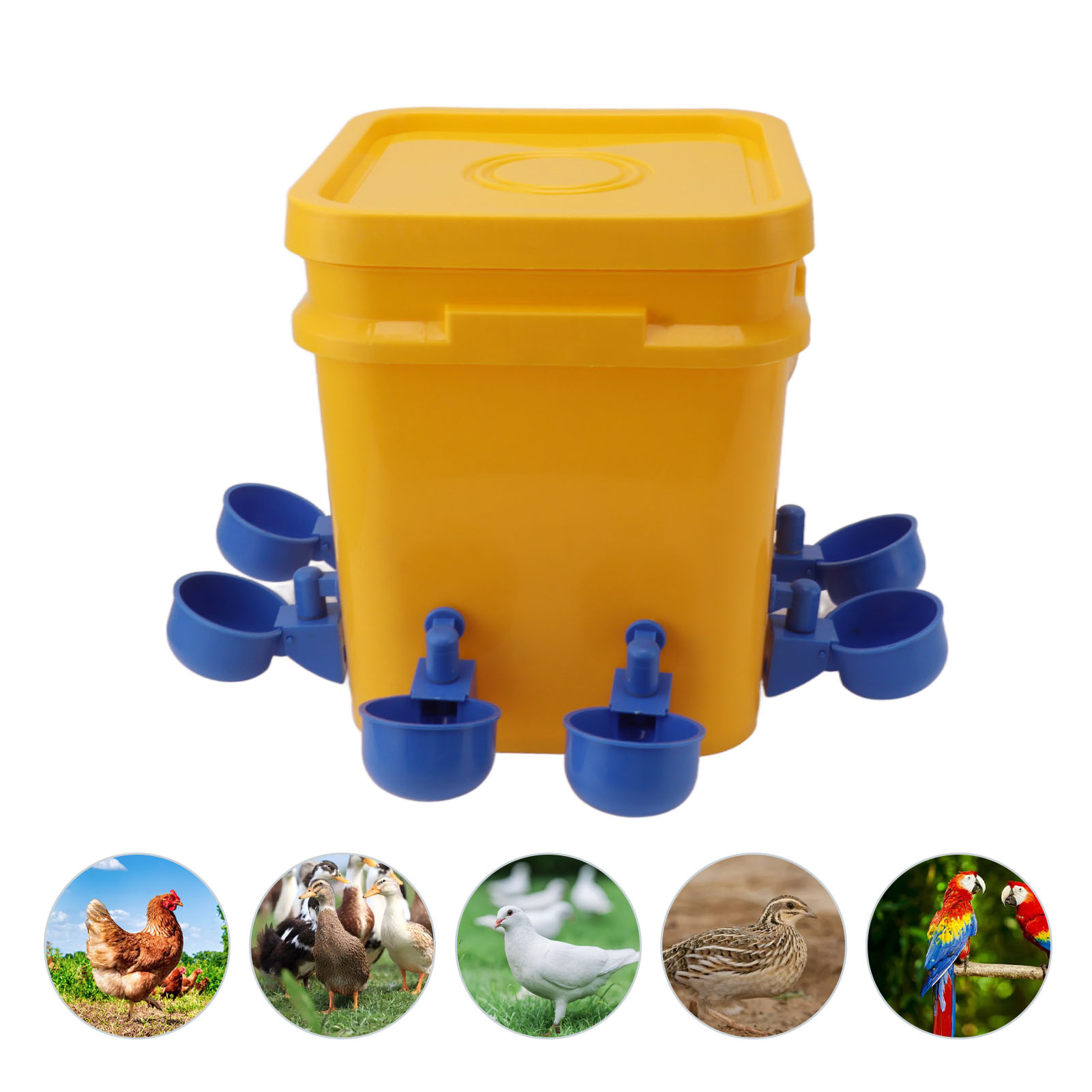 Comedero automático transfronterizo para pollos, bebedero automático para pollos, dispensador automático de agua para pollos, comedero tipo canal para pollos, puerto de alimentación para pollos.