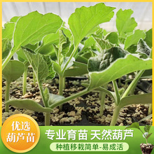 �����������J�� ��С���J���ļ��N�̨ͥԺ���ٺ��J�N��