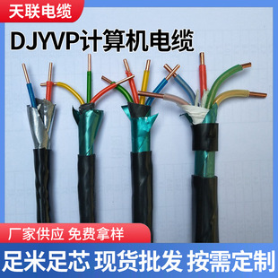 Wdzb1-Djyvpb1 Flame Retardant Computer Cable Ia-Djyvrp Intrinsically Safe Explosion-Proof Computer Cable