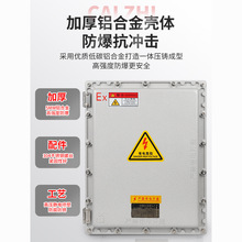 防爆配电箱防爆空箱接线箱专用电箱控制箱仪表箱插座箱检修电源箱
