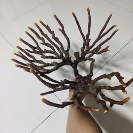 灵芝;天麻;其他干货