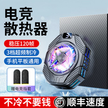 �羳�¿��ֻ�ɢ�����뵼������ֱ������羺��������������������