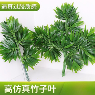 ���~�����~��֦����С���~��֦�����b٘��~�����F���~���l