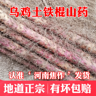 �ؿh���u�����r�tƤ�F��ɽș������ɽ���ں���ʡ�F�U��ɽ �خa5��