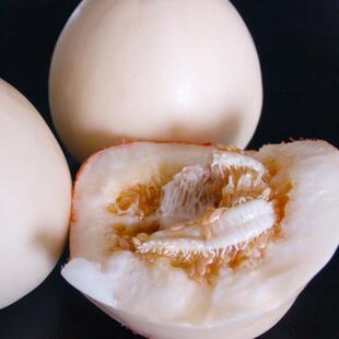 Xingtian No. 18 Melon Seeds Double Star Melon Seeds White-Skinned Melon Cantaloupe High Sugar Content Early Maturing Summer All Year Round