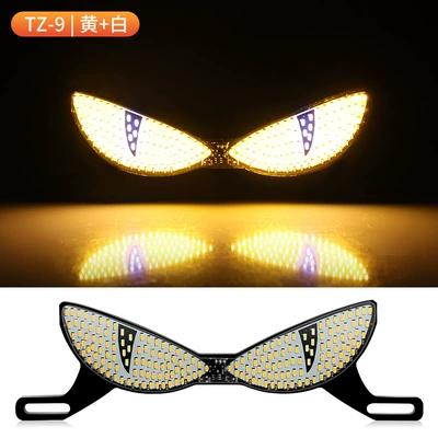 Other lights – Motorcycle License Plate Screw Light - cat-eye-light-white-yellow-flashes