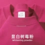短袖重磅百搭300gt恤