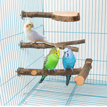 鸟站棒鸟栖木鸟笼配件鸟用品用具树杈站杆站棒站台鹦鹉鸟玩具