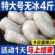 【6斤特价】新鲜大虾仁去虾线鲜活冷冻特大现真空青虾仁商用