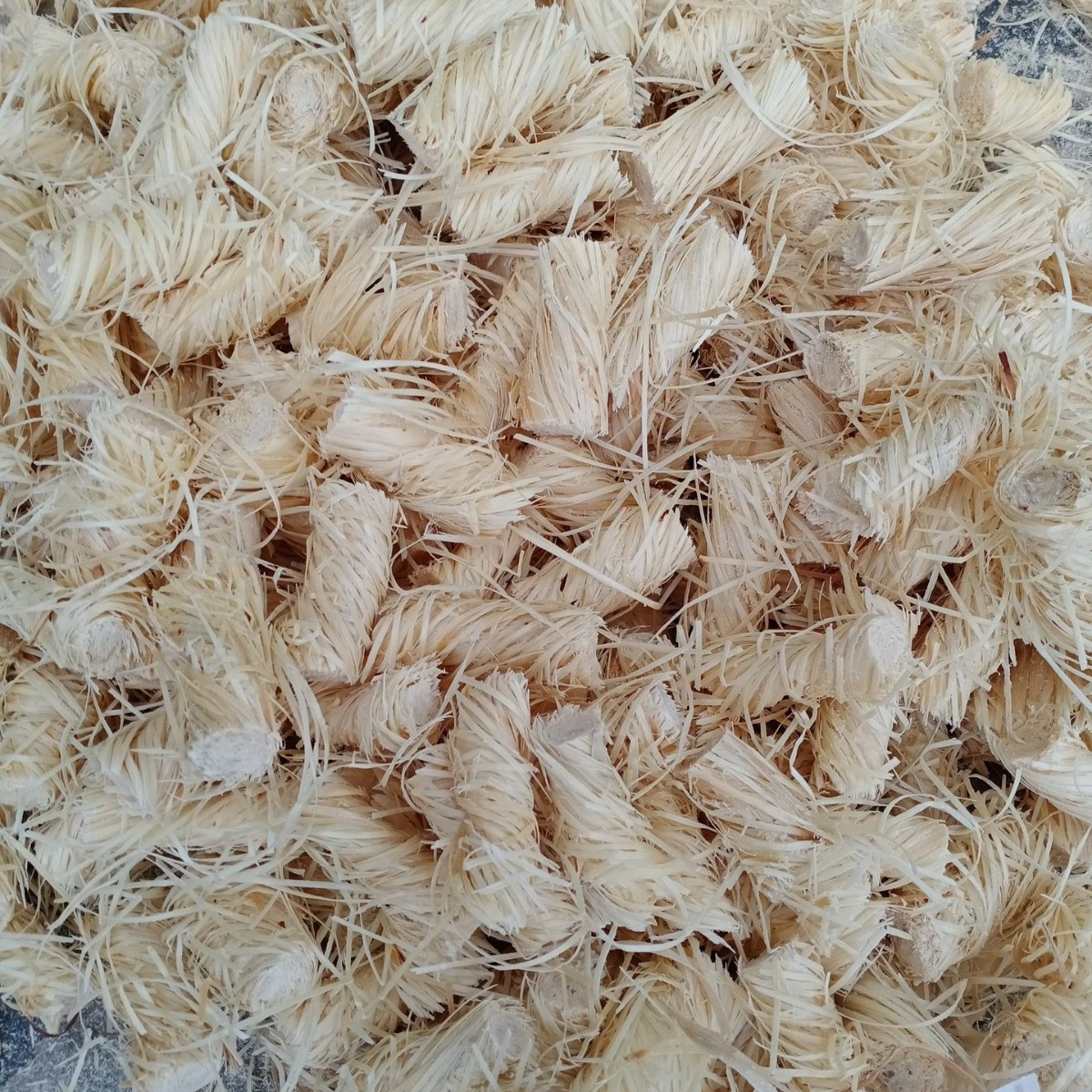 20*50MM火种 木柴引火剂 壁炉木炭烧烤柴炉篝火 助燃木丝卷生火剂