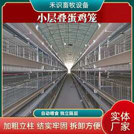 小层叠蛋鸡笼阶梯式养鸡笼畜牧养殖全自动化鸡笼捡蛋喂料清粪蛋笼