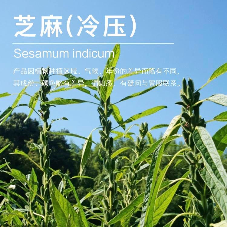 ��ե֥����  ��֥��ѹե��ȡ ������ ֥����������������