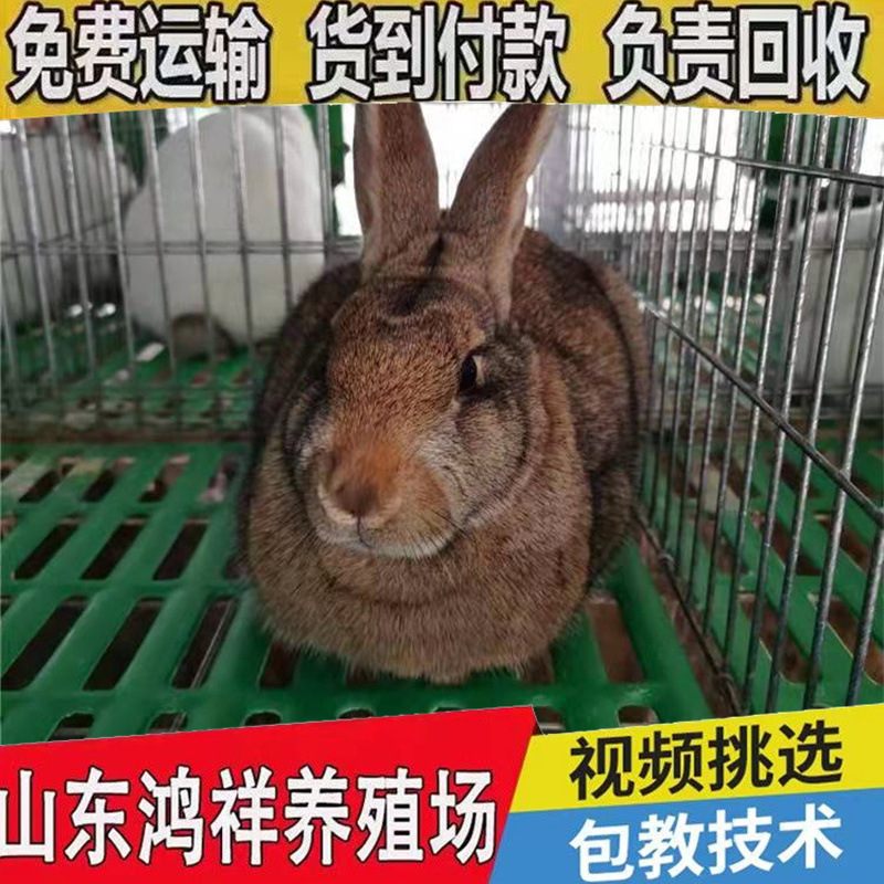 b_1260965202106092149322232.jp