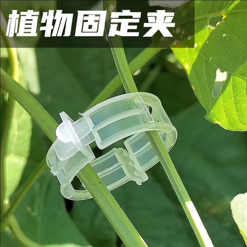 藤蔓固定夹植物夹绿植果树植物固定夹卡扣秧苗爬藤支撑杆固定器