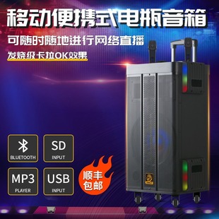 Lion Music Crown One Pull Rod Speaker 12-inch Square Dance High Volume Outdoor K Song Bluetooth Mobile Audio