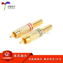 僽�÷�����^ �t/��ɫ ��ҕ�l���^ ɏ�����^ RCA�Ӿ��^ AVҕ�l�^