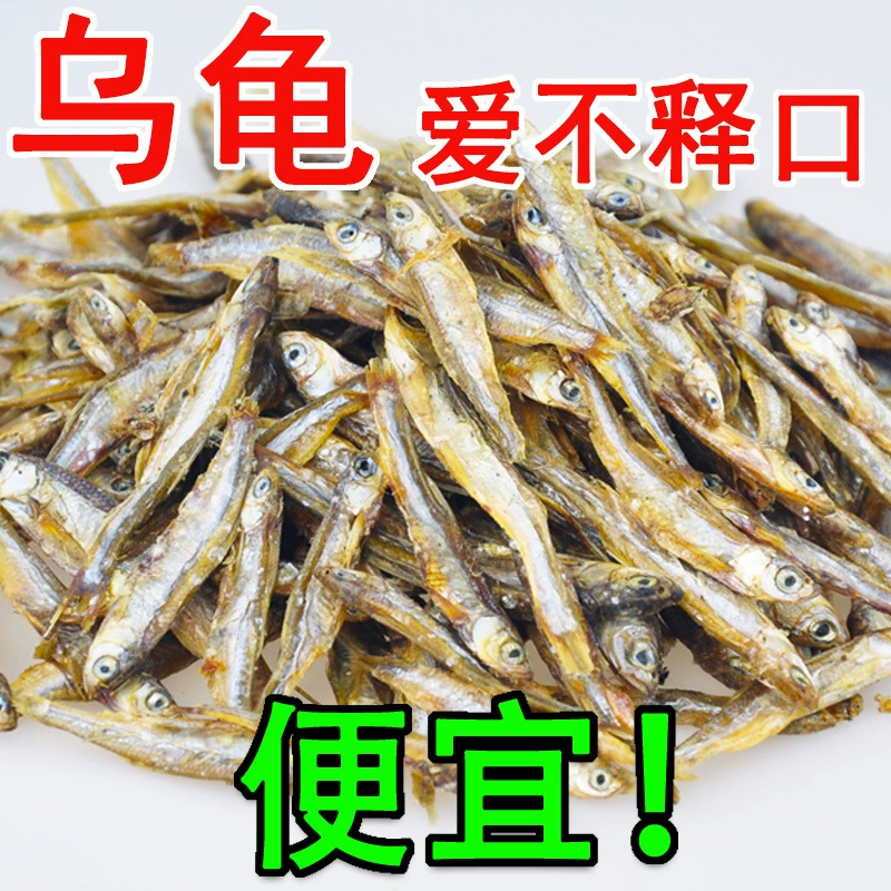 Сухая рыба для пресноводных черепах без соли, бразильская черепаха, крокодиловая черепаха, домашняя рыба, сушеная корм для черепах, корм для хомяков, корм для кошек, закуски для кошек