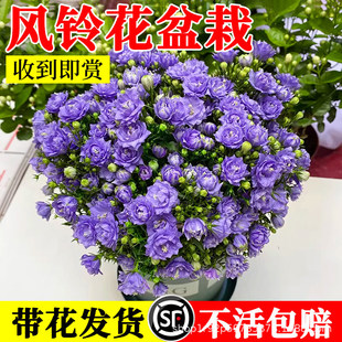 �L⏻����Ԏ����������ذ��L⏉�¶�̨�҃��ļ��_���������Gֲ��