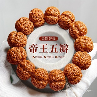 �����Ჴ������������ִ��б������y����������ԭ�Ѻ��ұP���