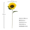 The new H12 single -support sunflower