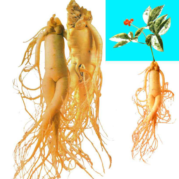 人参香精，咖啡香精，森林香精，各种日化用香精