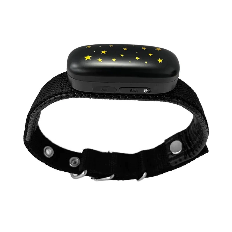 4G Pet Locator GPS Beidou позиционирование Кошка собака против потери Водонепроницаемый ошейник позиционирование трекер V53