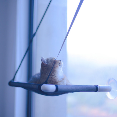 Amazon Pet Supplies Suction Cup Cat Hammock Four Seasons Cat Hammock Removable and Washable Cat Nest Autumn and Winter