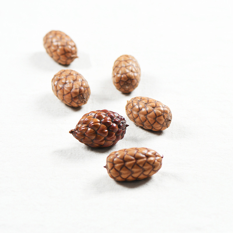 【Coir】Plant Dried Flowers and Fruits Shell Style Nordic Solid Window Cafe Tea Space Soft Decoration Arrangement