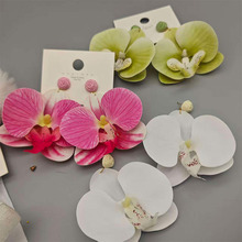 �W���羳���Ů�r�Ђ������w�����m���^������h�F���߼��ж��Ʒ