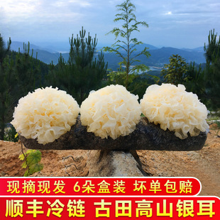 �y��ɏ�Ӹ����b6����Ŵ����ѩ�����r�y����ǳ���r��