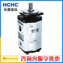 正品原装合肥长源CBZ2/2双联齿轮油泵CBZ2063/2032BFP