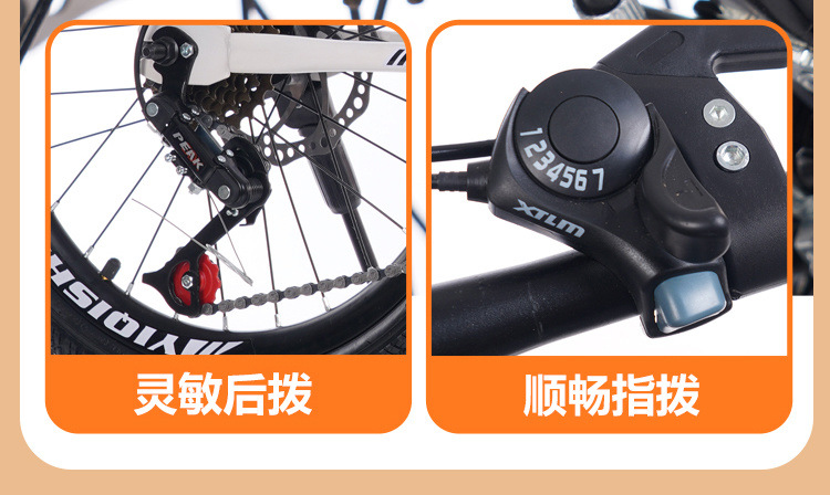 3dd618b0-69bf-422e-b10b-fc5cdd65a055.jpe