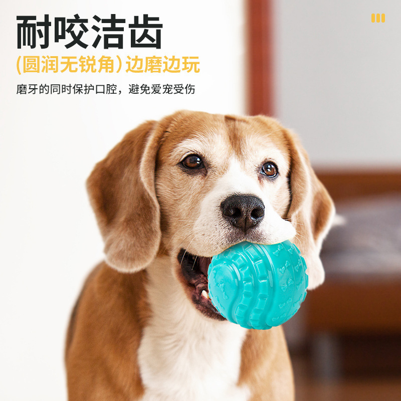 跨境爆款狗狗玩具发声弹力球磨牙耐咬解闷中小型犬宠物玩具球批发|undefined