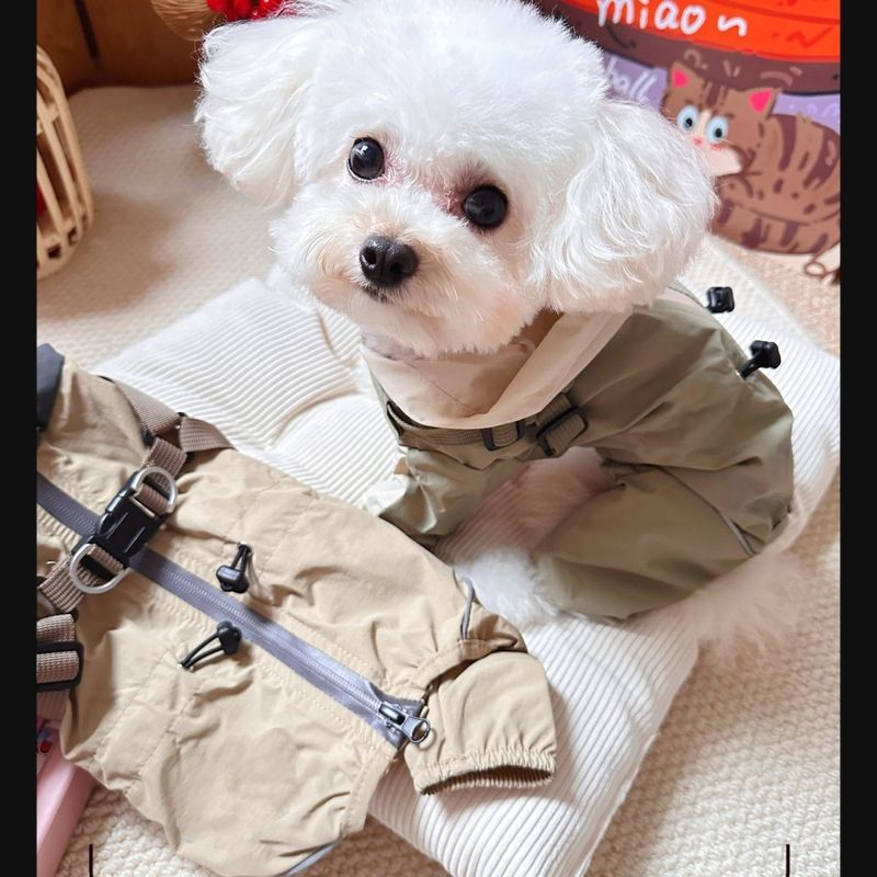 狗狗冲锋衣新款比熊宠物防风包肚小型防尘四脚宠物狗连脚遛狗衣服|undefined