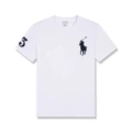 White big black horse