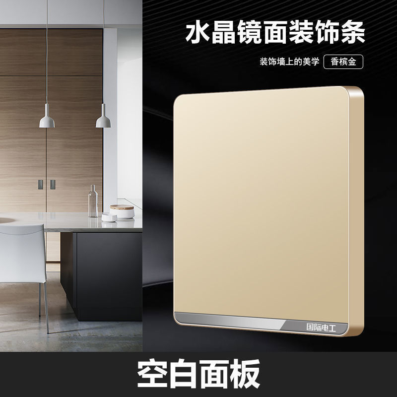 대형 패널 샴페인 골드 [거울 장식 스트립] - 빈 패널(스위치 아님)