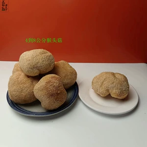 Xinrongyu Hericium оптом галантерея Gutian Hericium средний цветок со срезанными ножками и безкорневым герицием от 4 до 8 см