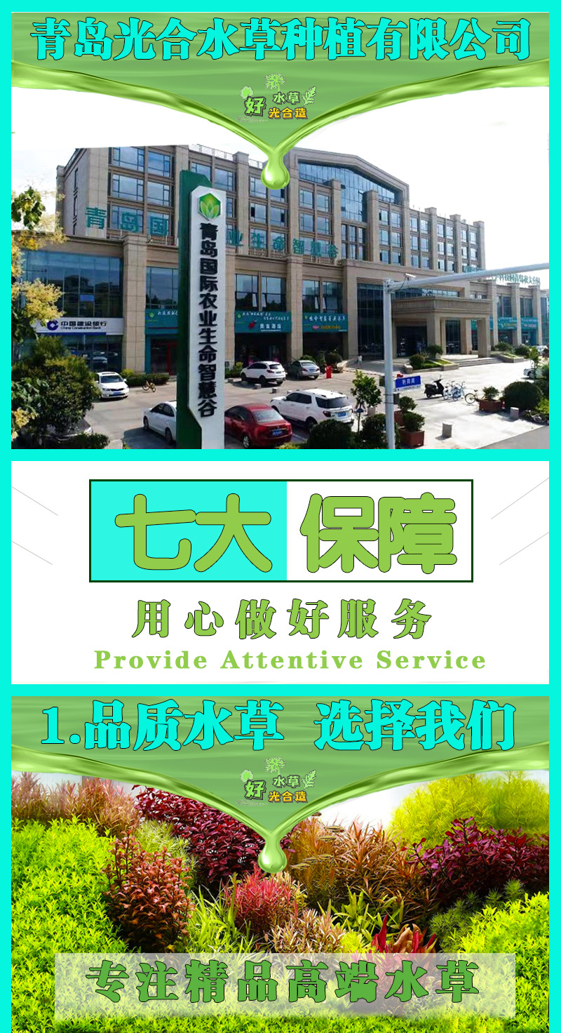 2023详情页六大保_01