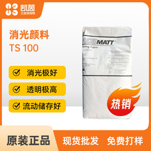 赢创ACEMATT TS 100气相法二氧化硅汽车原厂漆木器涂料消光粉