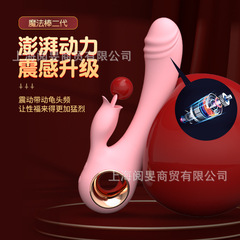 Lele Magic Wand Charging Dual Vibration Silicone Vibrator 10 Modes Female Self Pleasing Adult Erotic Toy