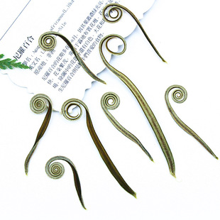 Iron tree roll cycas bud dried flower material wholesale flower decoration real leaves plant specimens leaf stickers photo frame painting
