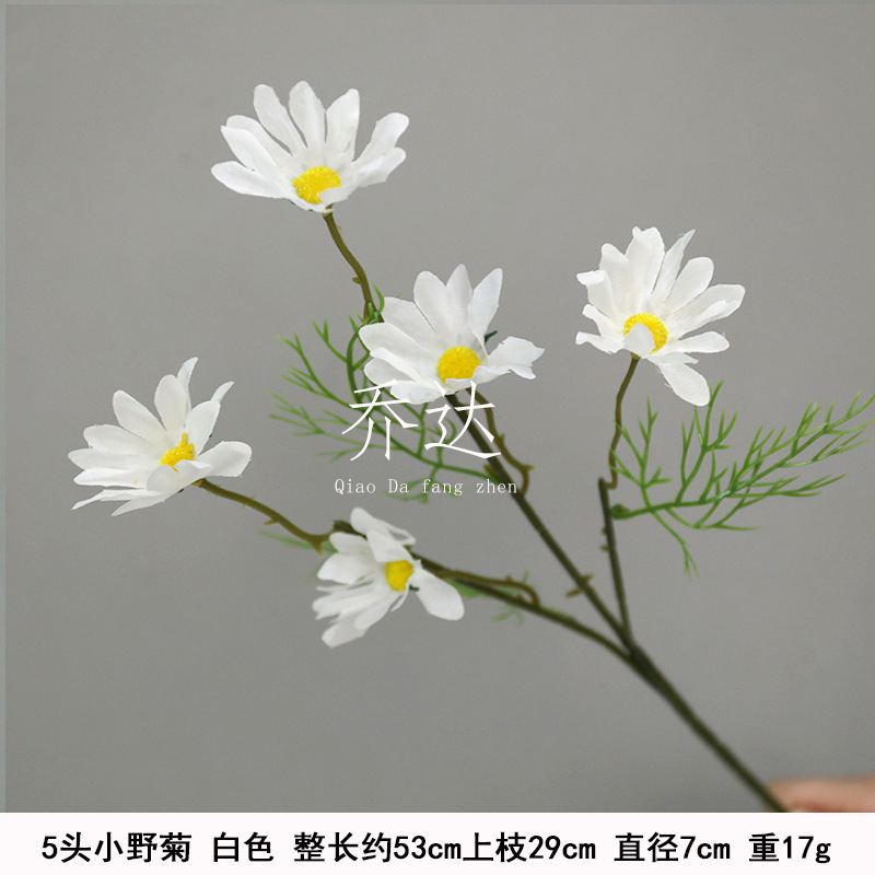 5 cabezas de crisantemo salvaje