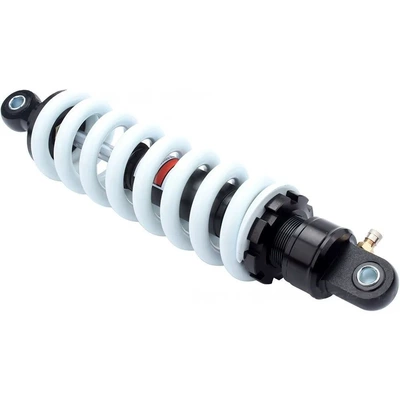 Off-Road Motorcycle damping system