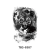 TBS-8587