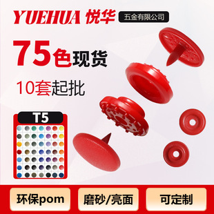 75ɫĥɰ����T5�����ĺϿ�С��������ɫ�ӭh��pom��ͯ��֬�ĺϿ�