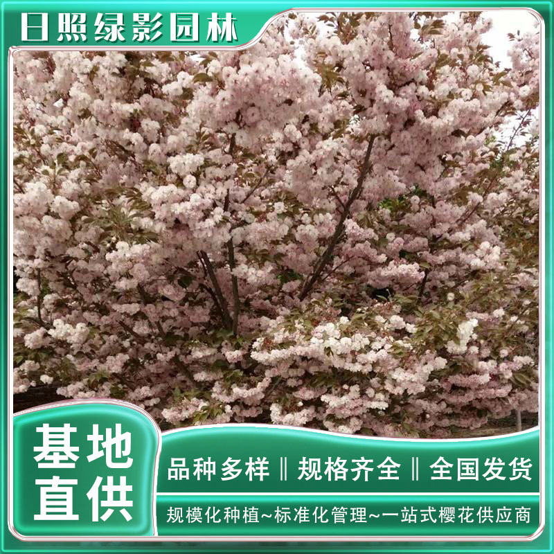 微信图片_20230211104119 副本.jpg