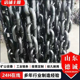 输送机;起重链条;提升机